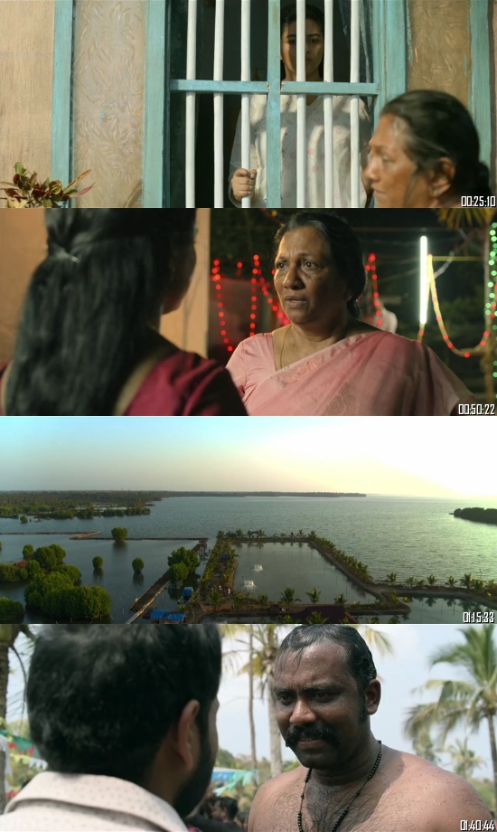 Ponman 2025 Dual Audio Hindi Malayalam 720p WEB-DL_s